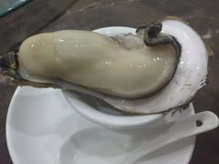 -蚝专家(北滘店)