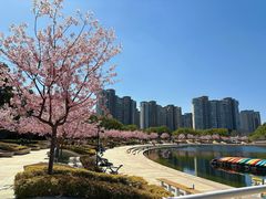 -新江湾城公园