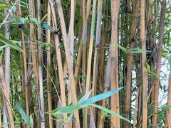 -成都市活水公园