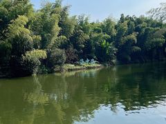 -蜀南竹海景区