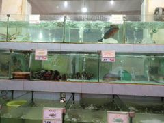 水产区-秋姐美食店(旅游大道店)