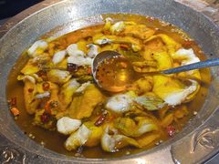 -雲蜀龙阁·金牌水煮鱼(方庄店)