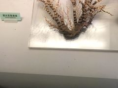 -天津自然博物馆