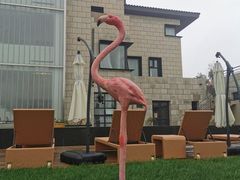 -秦皇岛阿尔卡迪亚滨海度假酒店