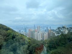 -太平山顶