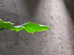 -王府茶宴(大观园总店)
