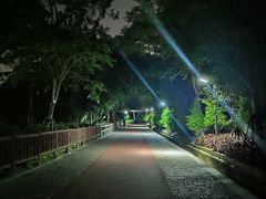 -狐尾山公园