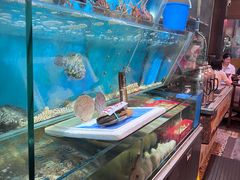 -鲜入围煮花胶鸡海鲜火锅
