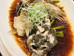 清蒸笋壳鱼-新南华大酒店(广中店)