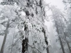 -瓦屋山景区