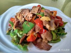 -煲来饱去冷水鱼