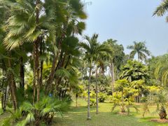 -中国科学院西双版纳热带植物园