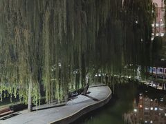 -团结湖公园