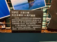 -海合安武汉极地海洋公园