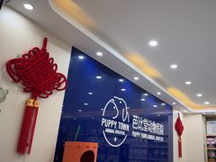 -芭比堂动物医院·24小时·眼科中心(深圳中心)
