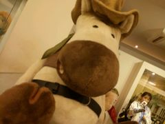 -济州岛泰迪熊博物馆