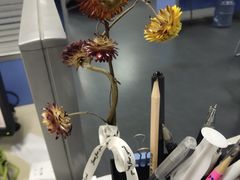 -千古迷阵密室逃脱·剧本推理(成都旗舰店)
