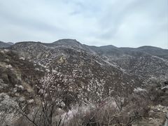 -妙峰山风景名胜区