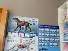 -关爱宠物医院·猫科中心·消化科(滨湖万达分院)