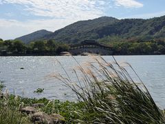 -长广溪湿地公园