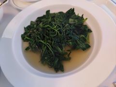 上汤菜心-火璽·園