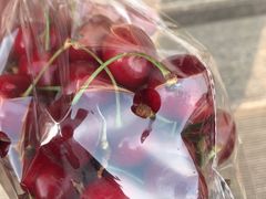 -果多美(三里河店)