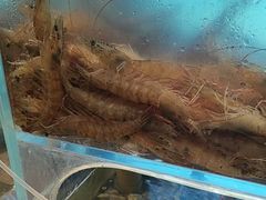 -尚宴牛特鲜自助(太原街万达店)