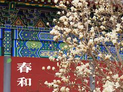 -护国法轮寺