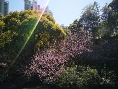 景点-静安雕塑公园