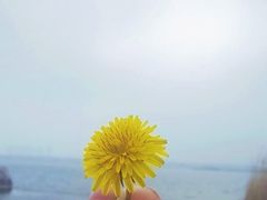 -阳澄湖半岛旅游度假区