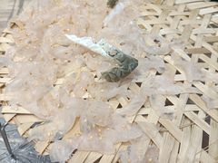 -官塘鱻鱻鱼生