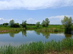 -野鸭湖国家湿地公园