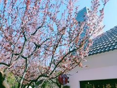 -新虹桥中心花园