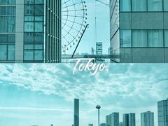 -台场海滨公园船码头