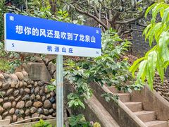 -桃源山庄·水蜜桃采摘·柴火鸡·烧烤团建(龙泉山店)