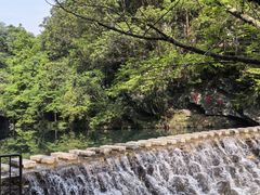 -石台牯牛降景区
