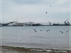 -海驴岛(荣成市)