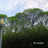 城市漫步 绿色之城，怪不得古人说春日踏青