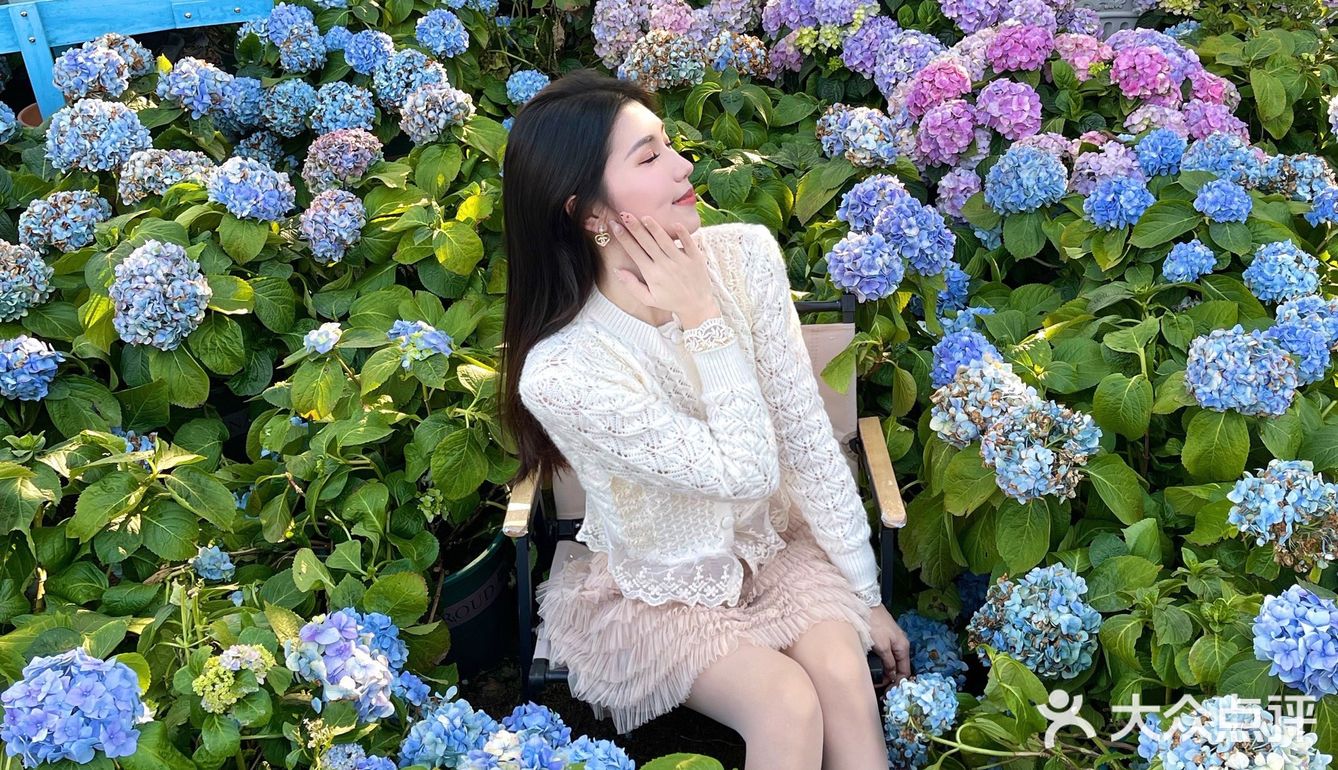 绣球花真的好温柔💐海如的花园