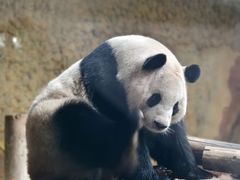 -常州淹城野生动物世界