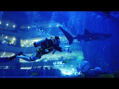 -成都浩海立方海洋公园