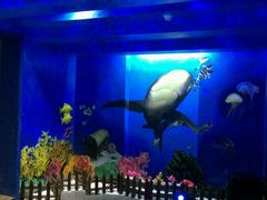 -船奇蒸汽海鲜·闽菜(八市海鲜总店)