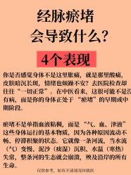 -玛莲朵·海菲秀冰珀科