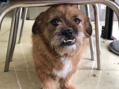 -艾麻子奶汤面(文庙街店)