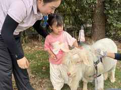 -惠洛克国际儿童之家(绿博园中心)