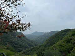 -老象峰