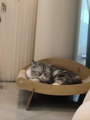-倩极·精研痘敏肌管理
