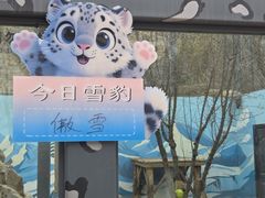 -青藏高原野生动物园