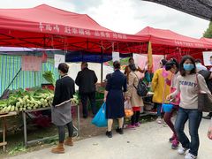 -秀丽东方