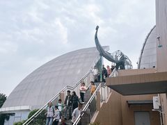 -自贡恐龙博物馆